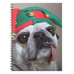 Funny looking pug with tongue hanging out notebook