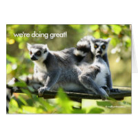 Funny Madagascan Lemurs Monkey Business