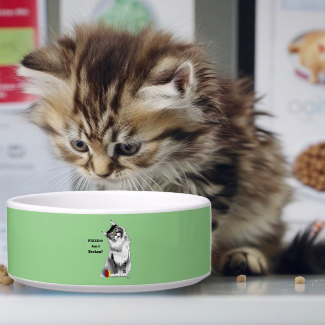 Funny Maine Coon Cat Fixed  Bowl (Creator Uploaded)