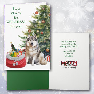 Funny Malamute Dog Ready for Christmas Holiday Card