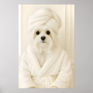 Funny Maltese Bathroom Print, Maltese In Bathrobe Poster