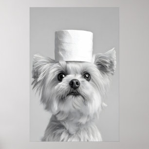 Funny Maltese Dog with Toilet Paper Hat, Bathroom Poster
