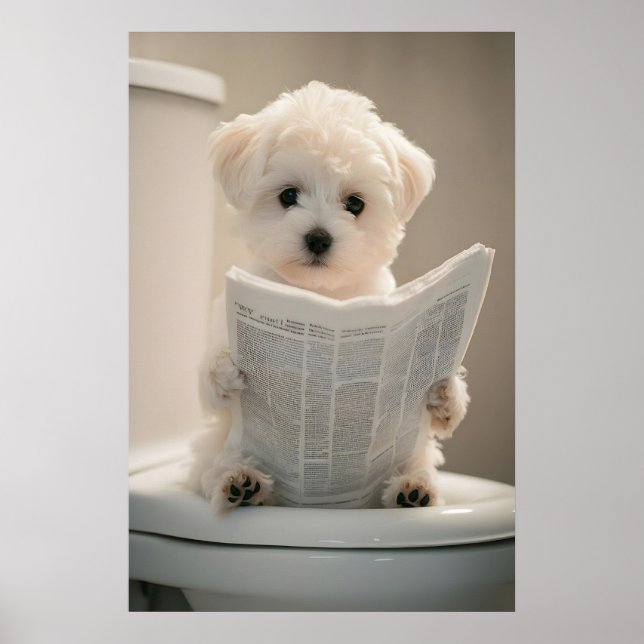 Funny Maltese Puppy Print, Bathroom Wall Poster (Front)