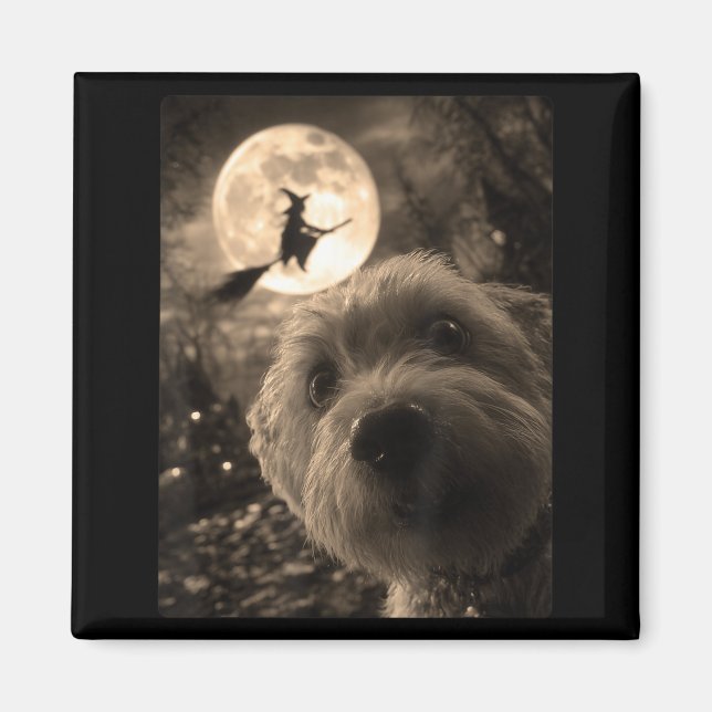 Funny Maltese Selfie Full Moon Flying Witch Magnet (Front)