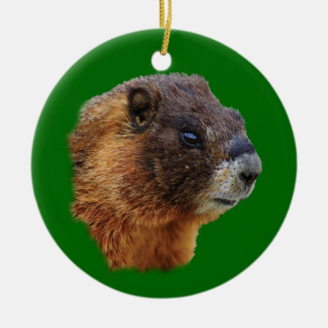 funny marmot ceramic tree decoration (Front)