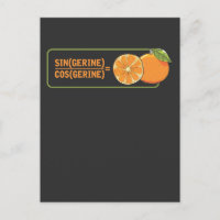 Funny Math Teacher Tangerine mathematics Pun