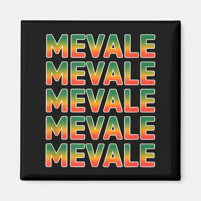 Funny me vale saying mexico spanish mexican Funny  Magnet (Front)