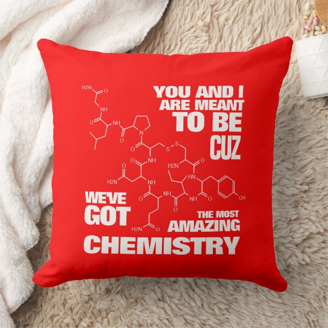 Funny  Meant to Be We've Got Amazing Chemistry Cushion (Blanket)