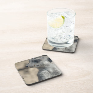 Funny Meerkat Coaster