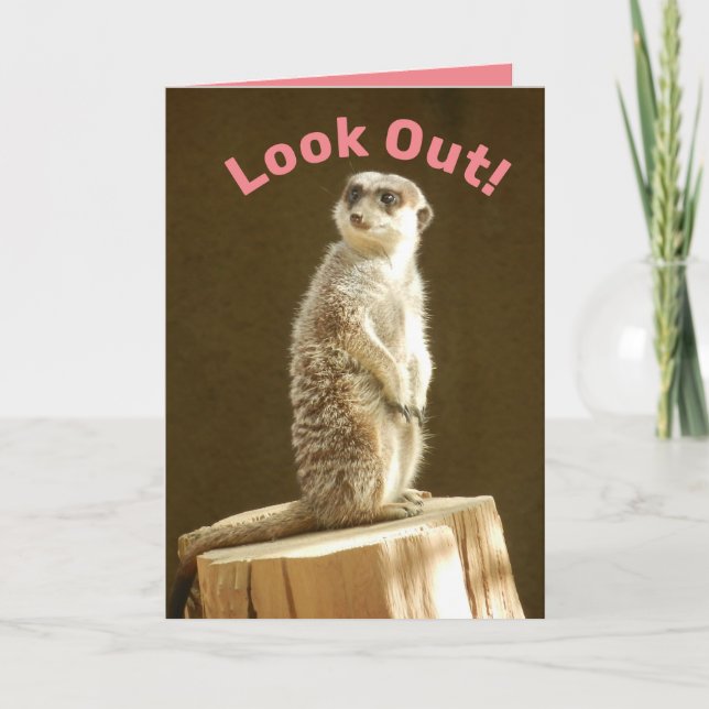 Funny Meerkat: Look Out! You're a Meer Year Older Card (Front)