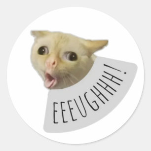 funny meme cat classic round sticker