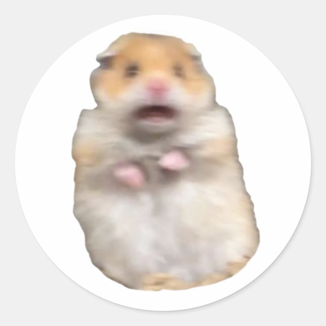 funny meme cat classic round sticker (Front)