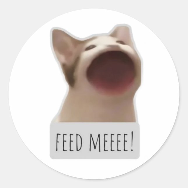 funny meme cat classic round sticker (Front)