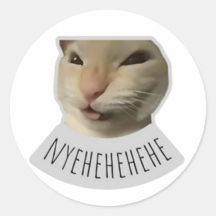 funny meme cat classic round sticker