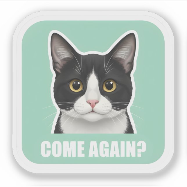 Funny Meme Cat – “Come Again?” Sassy Cat Reaction, (Front)