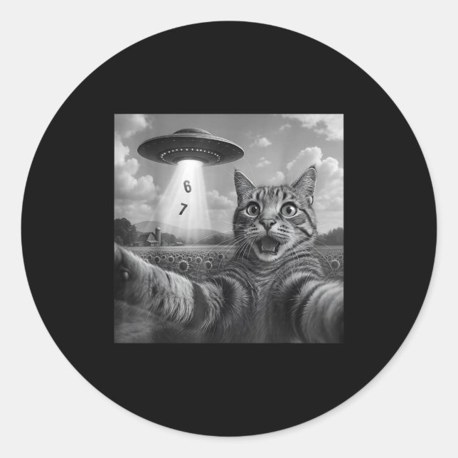 Funny Meme Cat Selfie Six Seven Retro Cat 67 Anima Classic Round Sticker (Front)