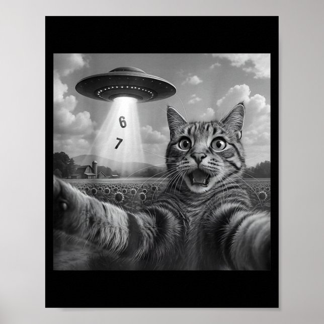 Funny Meme Cat Selfie Six Seven Retro Cat 67 Anima Poster (Front)