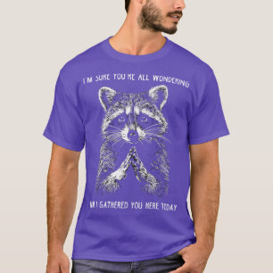 Funny Meme Racoon Gift Men Women Funny Racoon 8 T-Shirt