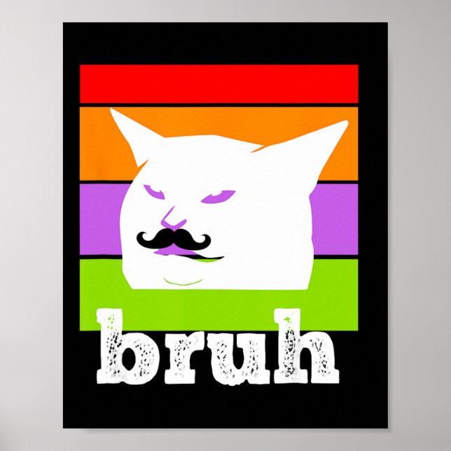 Funny Meme Saying Bruh With Cat-cinco De Mayo-mexi Poster (Front)