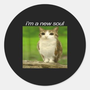 Funny Meowl Cat Owl Brainrot Cursed Internet Silly Classic Round Sticker