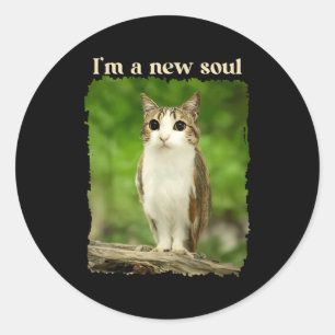 Funny Meowl Meme, Cat Owl Meme Brainrot Gen Alpha Classic Round Sticker