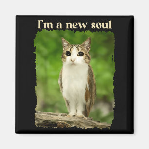 Funny Meowl Meme, Cat Owl Meme Brainrot Gen Alpha  Magnet