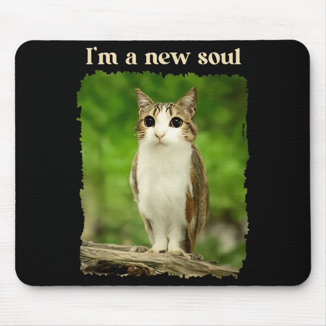 Funny Meowl Meme, Cat Owl Meme Brainrot Gen Alpha  Mouse Pad (Front)