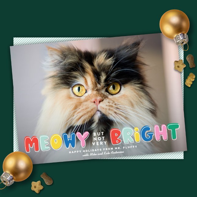 Funny Meowy But Not Very Bright Cute Cat Photo Holiday Card (Creator Uploaded)