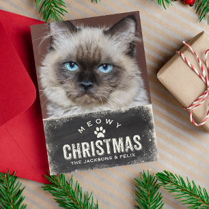 Funny Meowy Christmas Holiday Cat Photo