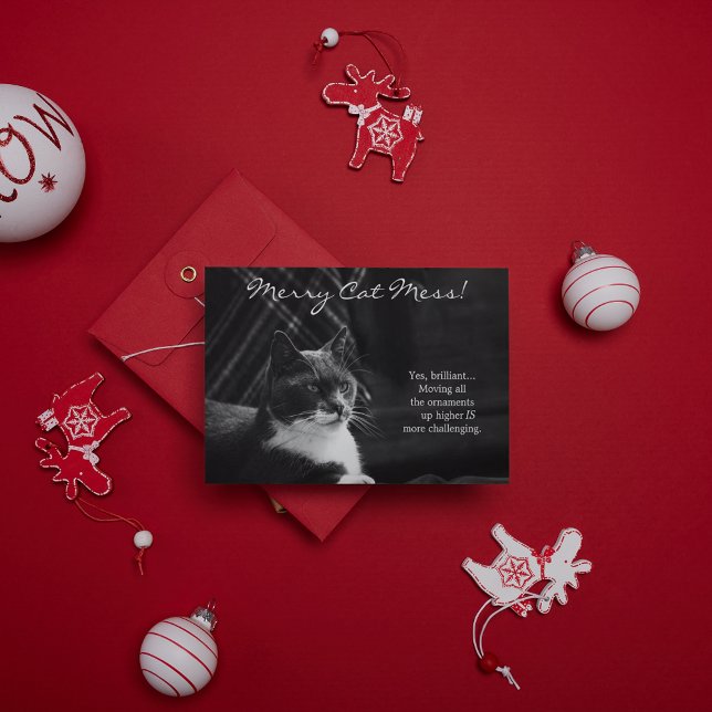 Funny Merry Cat Mess Christmas Holiday Card (Creator Uploaded)