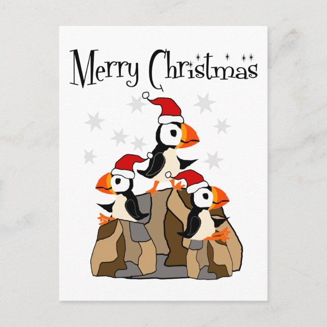 Funny Merry Christmas Puffin Birds and Snow Postcard (Front)