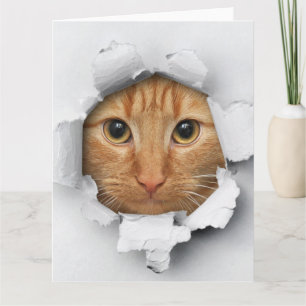 Funny Mischievous Cute Ginger Cat Card