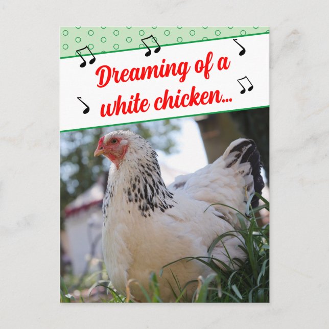 Funny Misheard Song Lyrics White Chickens Photo  Holiday Postcard (Front)