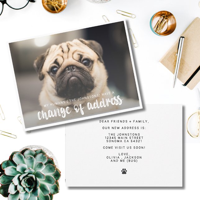 Funny Modern Change of Address Pet Dog Photo  Invitation (Creator Uploaded)