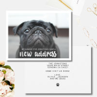 Funny Modern New Address Pet Dog Photo