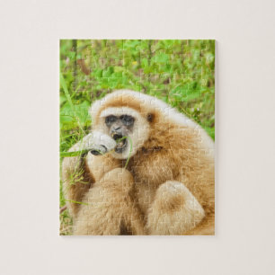Funny Monkey Animal Jigsaw Puzzle