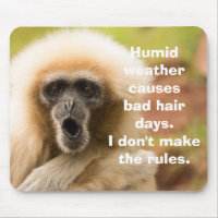 Funny Monkey Bad Hair Day