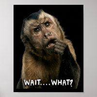 Funny monkey slang quote wait what meme cute