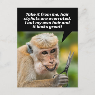 Funny Monkey With a Bad Hair Cut-Shelter In Place Postcard