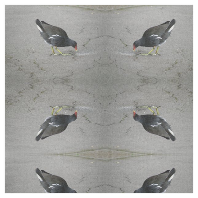 Funny Moorhern Take A Bow Patterned Animal Fabric (Swatch)