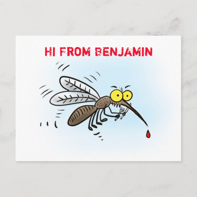 Funny mosquito insect cartoon illustration postcard (Front)
