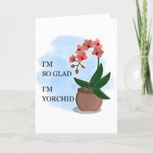 funny mother's day card birthday card motherhood