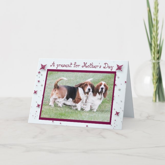 Funny "Mother's Day" Card w/Basset Hounds & Stars (Front)
