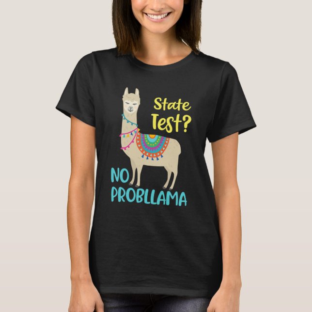 Funny Motivational State Test Day For Students  T-Shirt (Front)