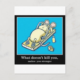 Funny Mouse Product Postcard