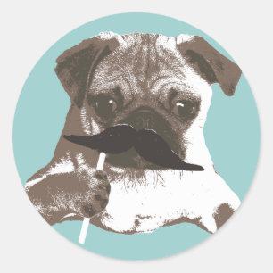 Funny Moustache Pug Classic Round Sticker