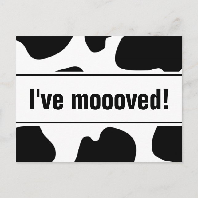 Funny moving postcards with cow print | i've moved (Front)