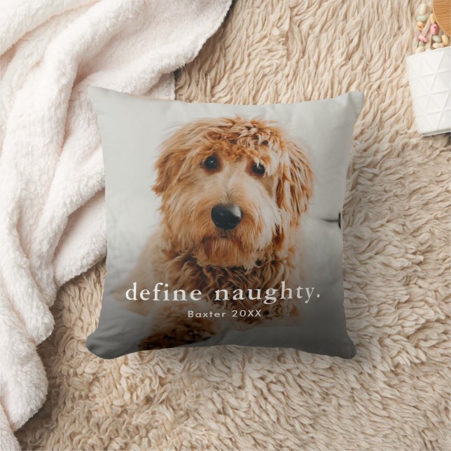 Funny Naughty Pet 2 Photo Cushion (Blanket)