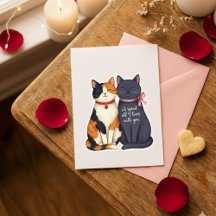 Funny Nine Lives Cats Valentine Love Card