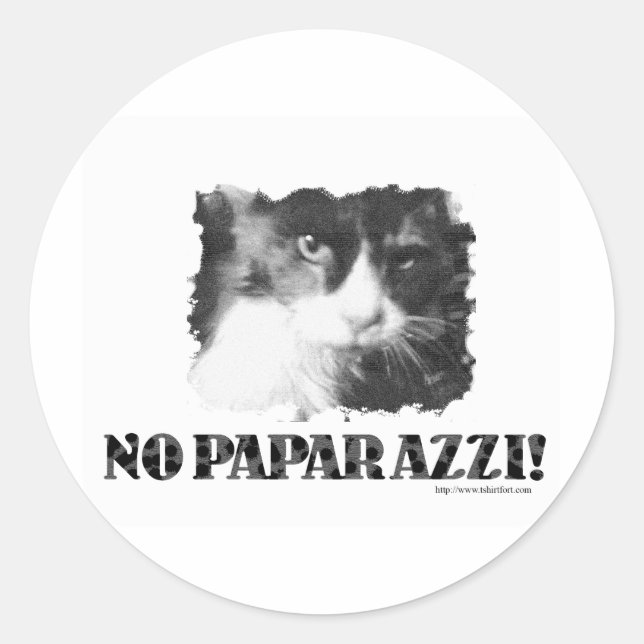 Funny No Paparazzi Cat Classic Round Sticker (Front)